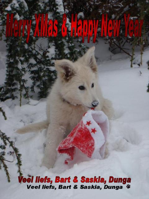 Fotos/2010vervolgJnest/Jae Dunga/Kerstgroet[1].jpg